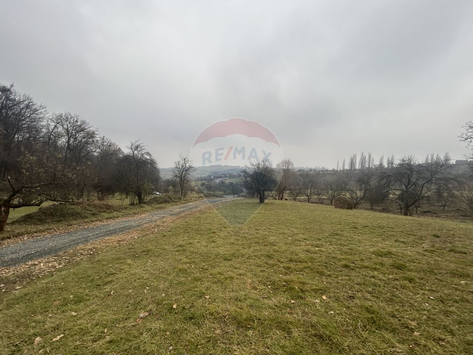 Land 7,000sqm Grosi / Strada DN