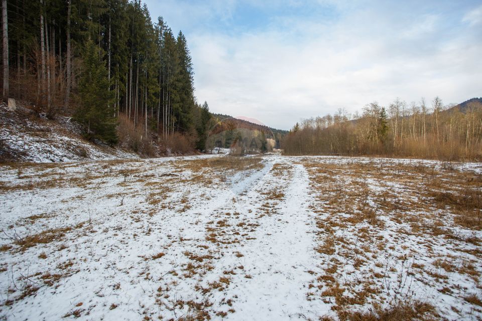 Land 49,000sqm Borca / Strada Vitoria lipan