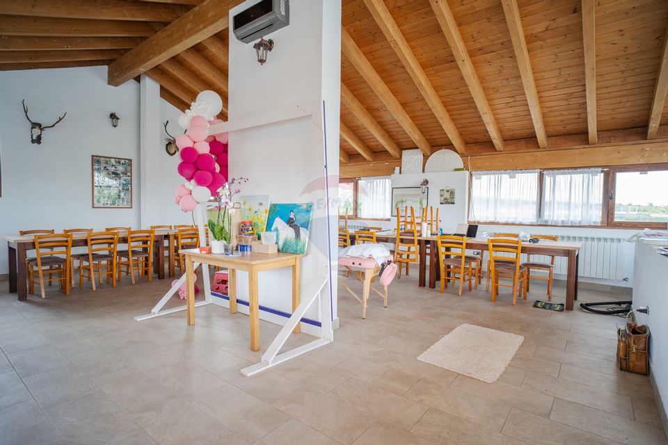 7 room Hotel / Pension for sale, Nord area