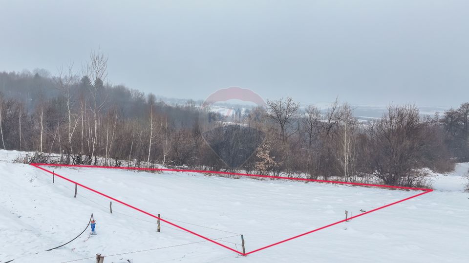 Land 500sqm Zarnesti / Strada Pe tarina