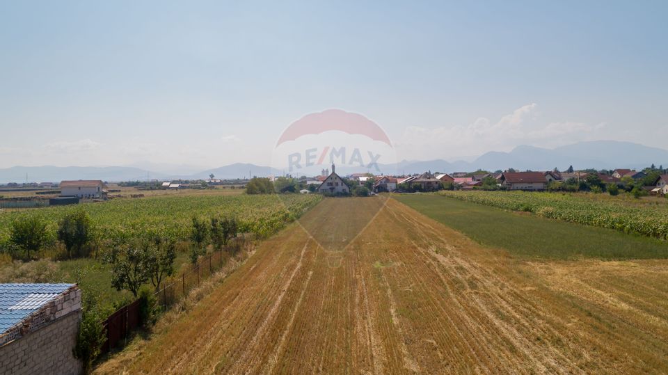 Land 3,203sqm Harman / Strada Preot dumitru greceanu