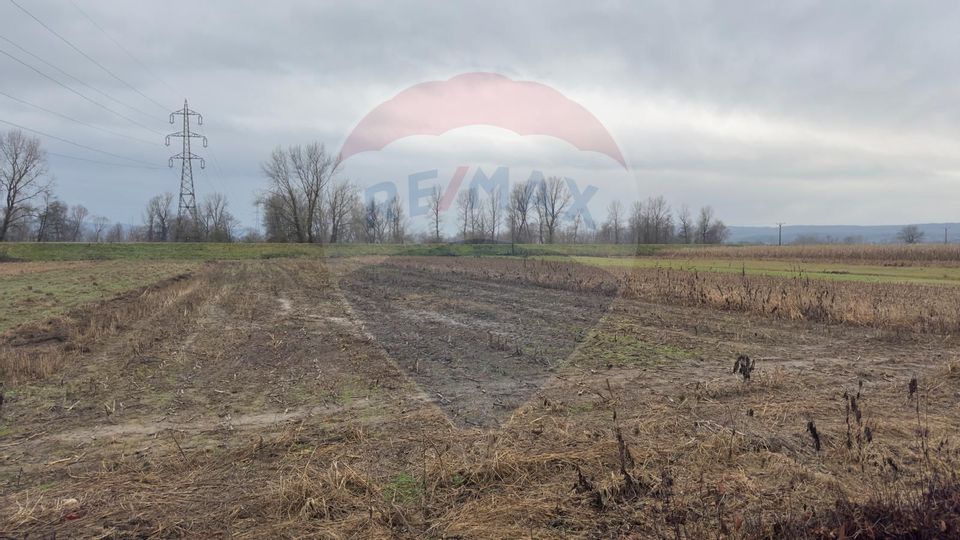 Land 2,200sqm Coruia / Strada Principală