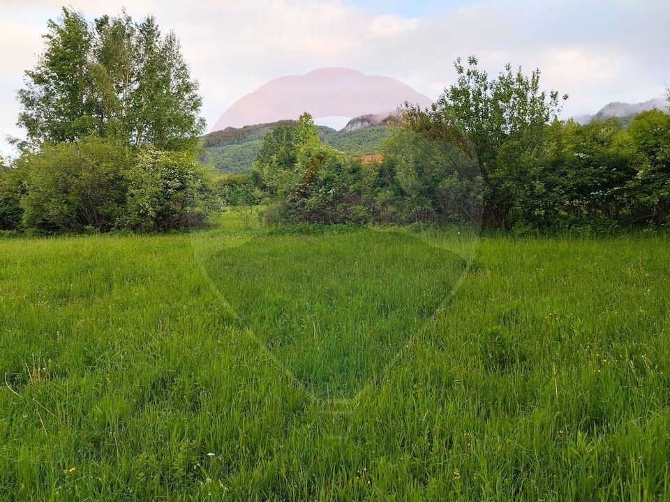 Land 4,223sqm Zarnesti / Strada Tohanita