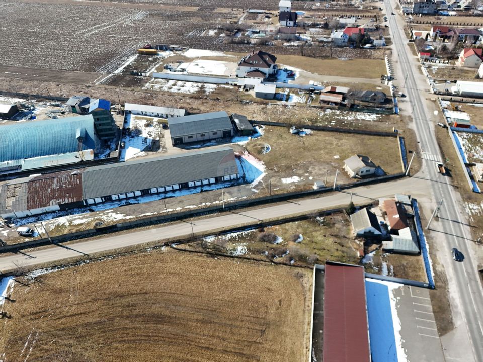 Hale industriale de închiriat în Tg Neamț