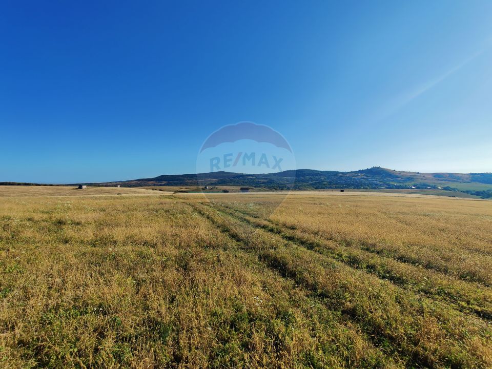 Land 2,100sqm Salicea / Strada Principala