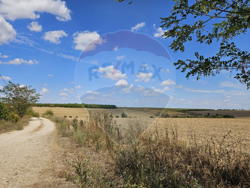 Land for sale Valea poplars locality opening to E70