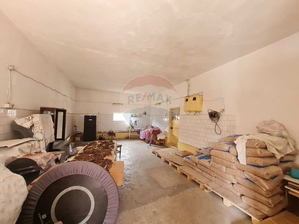 Casă cu 5 camere de vanzare la strada Principala