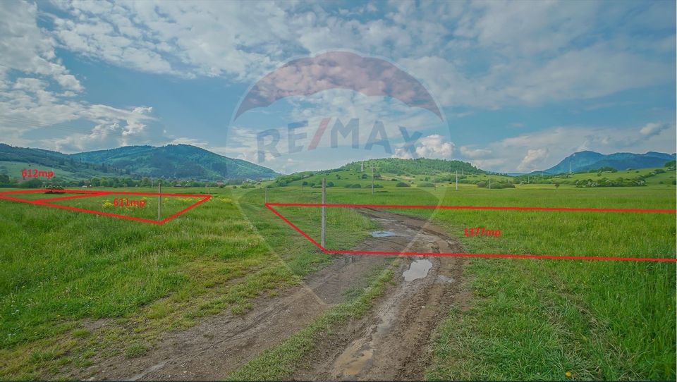 Land 612sqm Zizin / Strada Republicii