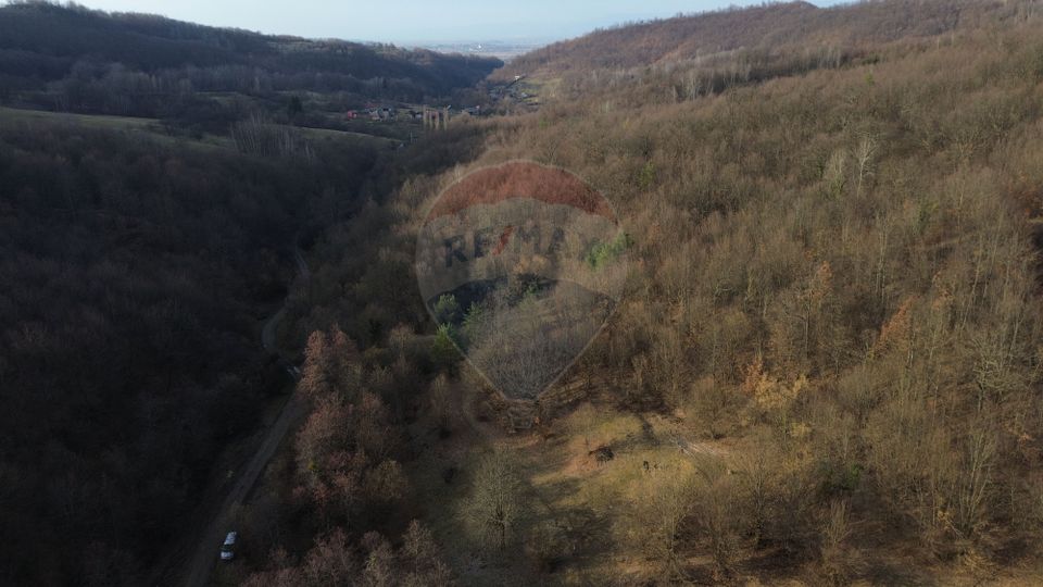 Poiană pentru cabana de vanzare intravilan Coas