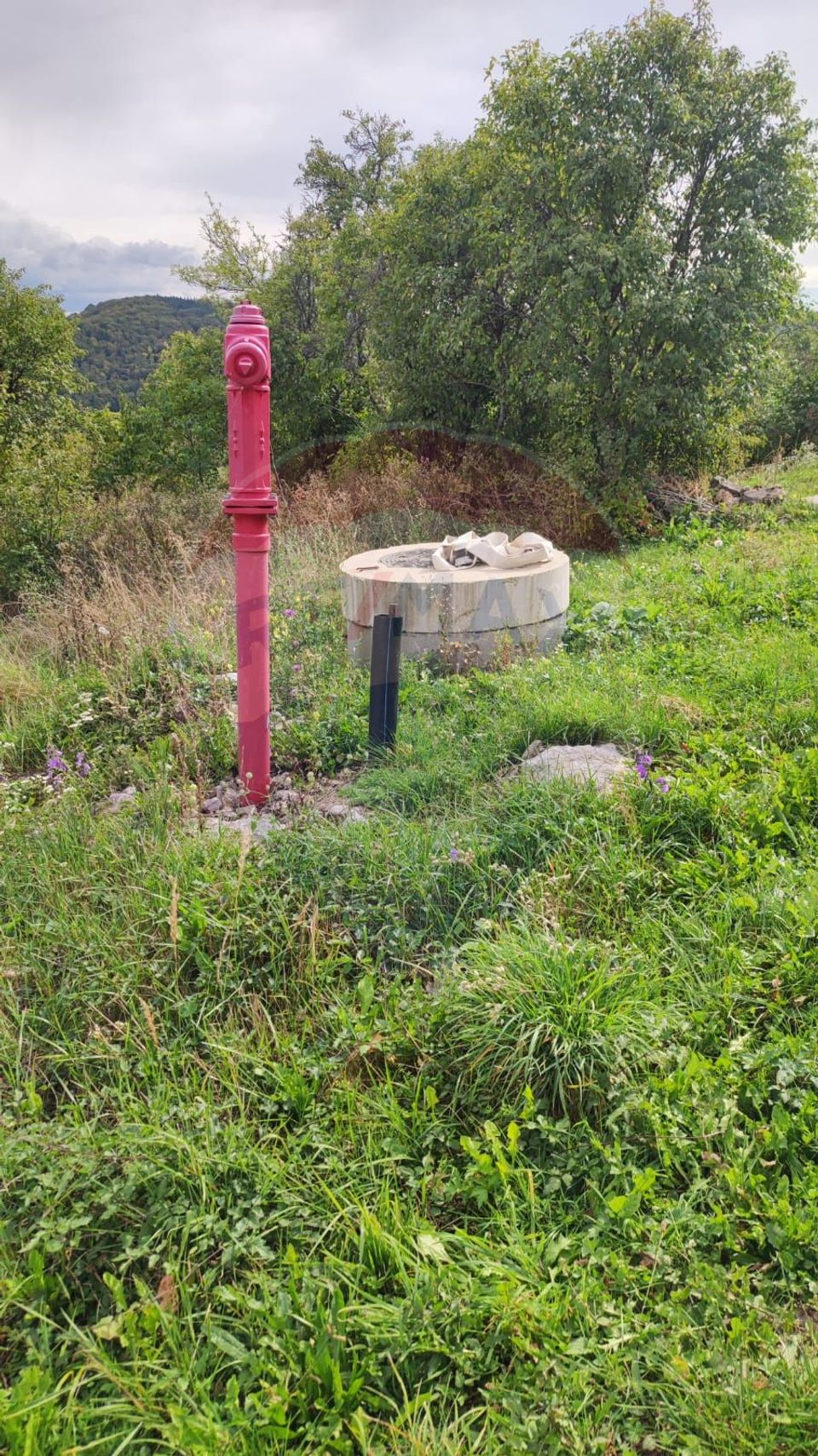 Teren intravilan constructii 3082 mp Damis Bratca drum DJ 764D