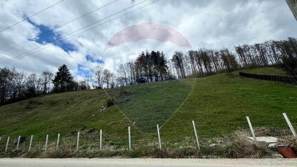 Teren generos, dar ieftin, in Nămăești - Argeș