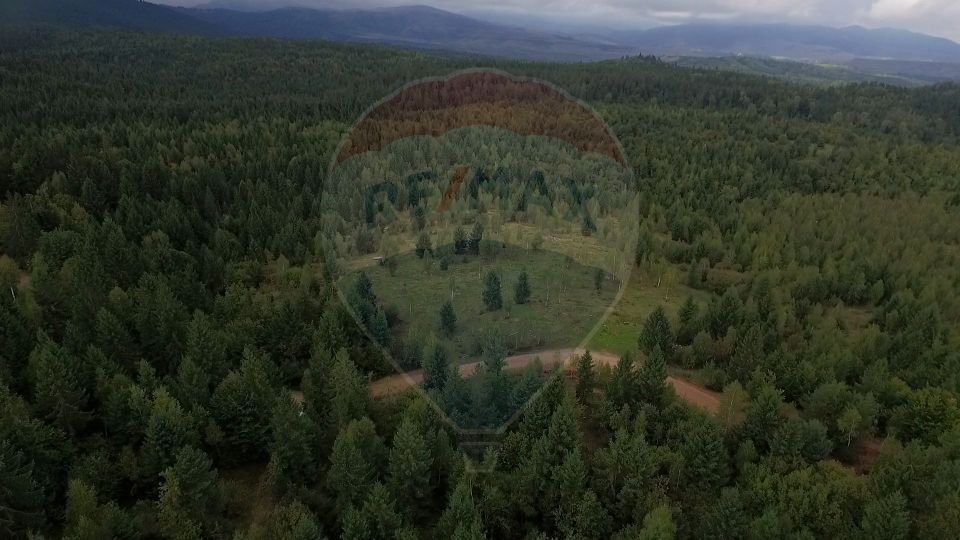 Teren extravilan parcelabil Călățele Pădure, zona Dealu Negru