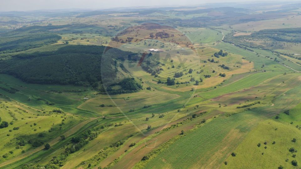 INVESTITIE REZILIENTA 300 HA Teren de vanzare in Zlagna Sibiu