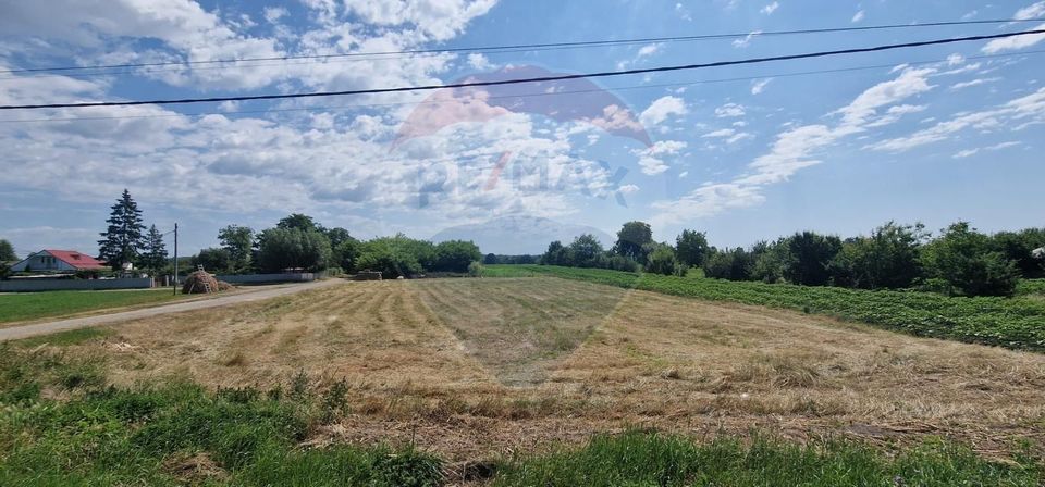 Land 28,662sqm Oniscani / DN DN85