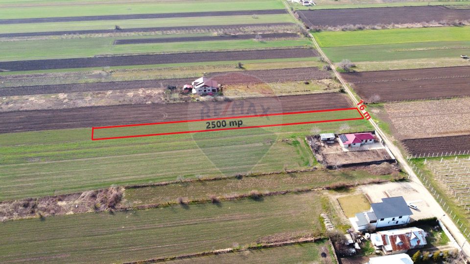 Teren Vanatori Strada Crizantemelor