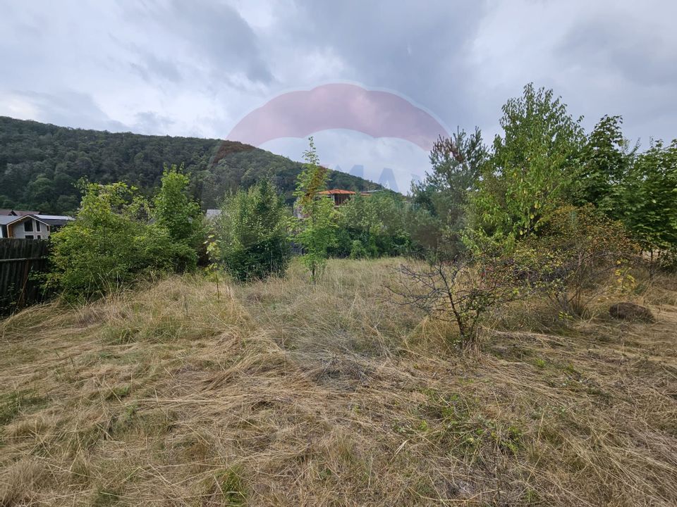 662 mp Bunloc/Iesire Brasov-Predeal/P+1+M/Priveliste