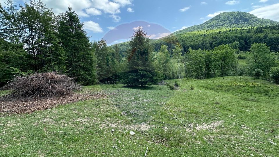 Land 8,500sqm Dalghiu / DJ 103A