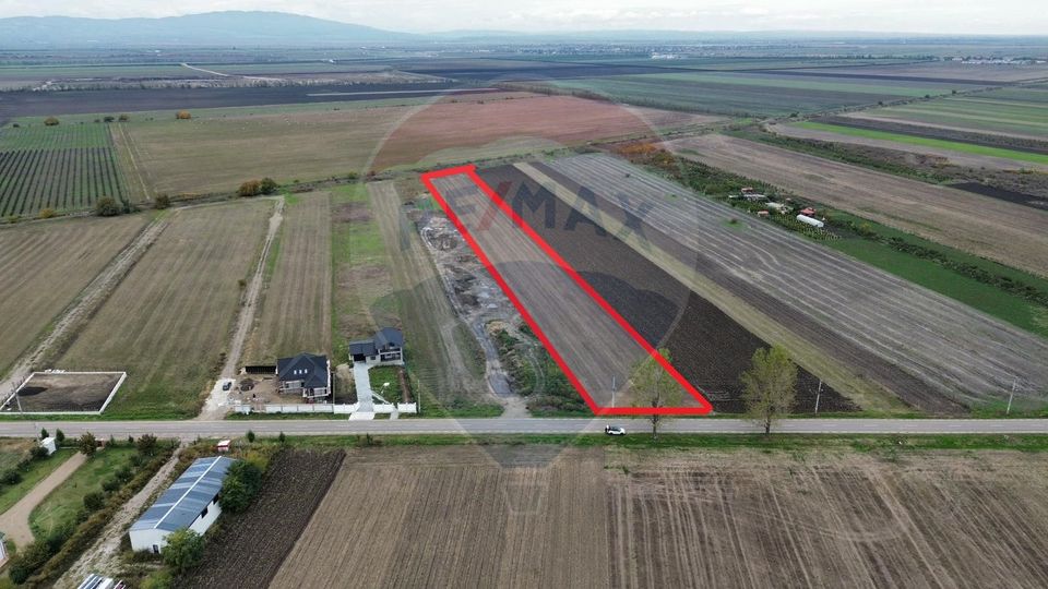 Teren intravilan 10869mp Mircestii Vechi / DJ 204E