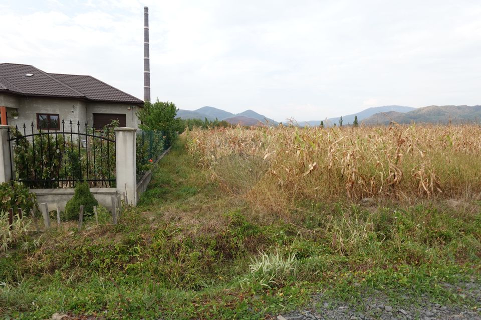 Teren 1,000mp Baia Mare / Strada Sebesului