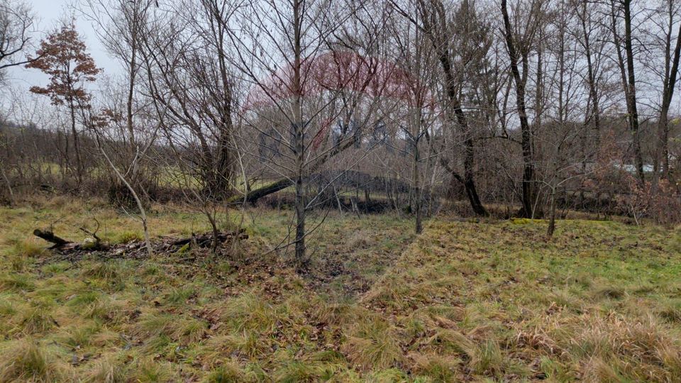 Land 2,932sqm Sarbi (Budesti) / Drumul Principal