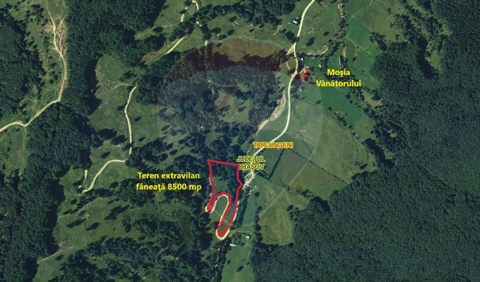 Teren 8500 mp, Valea Dălghiului - Dălghiu - vedere către Ciucaș