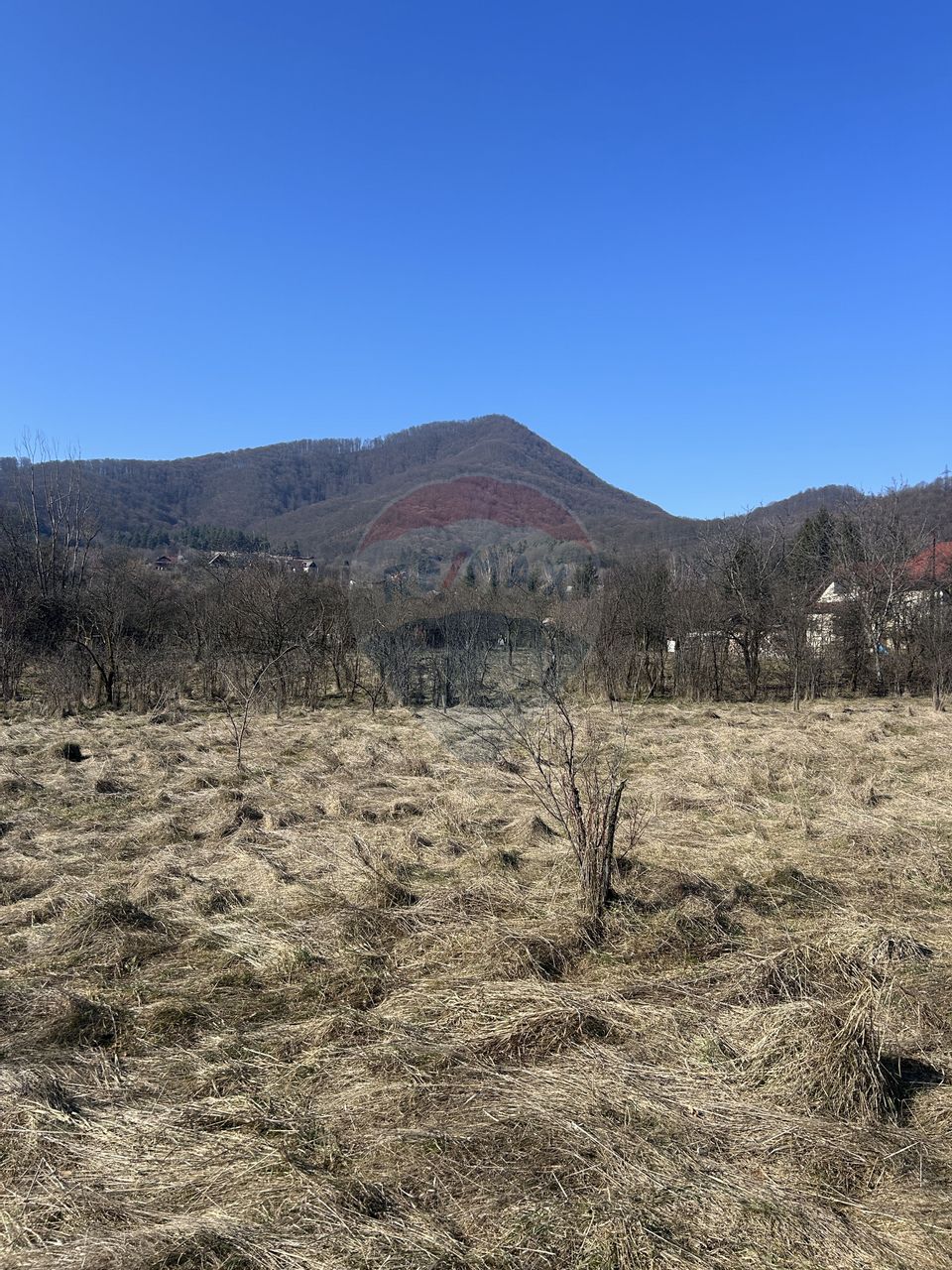 Teren intravilan 1,438mp Baia Mare / Strada Arinului Ferneziu