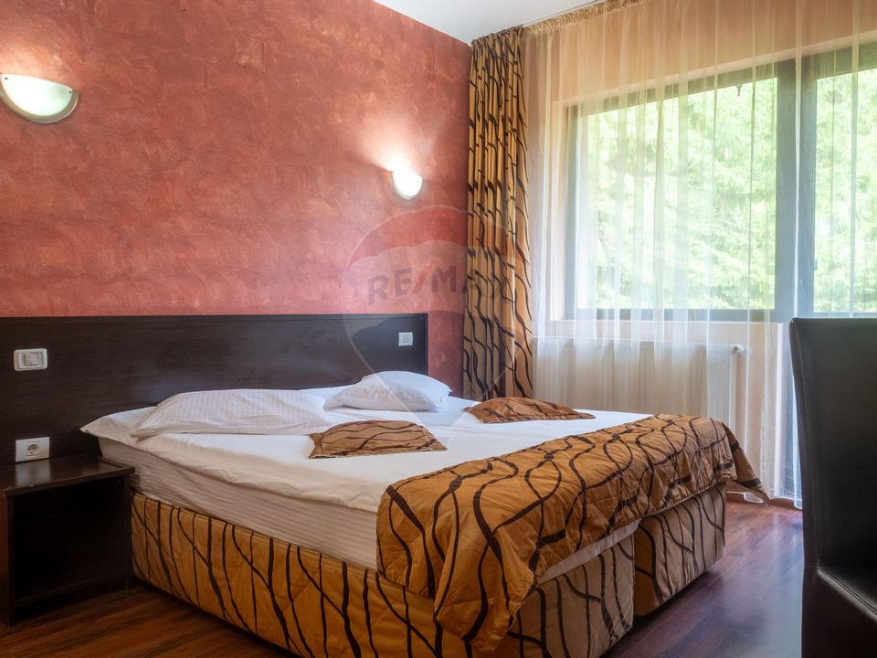 14 room Hotel / Pension for sale, Vladet - Trei Brazi area