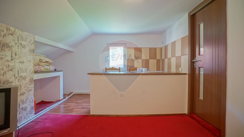 21 room House / Villa for sale