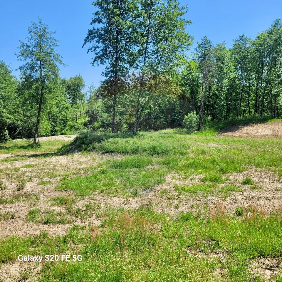 Land 6,725sqm Hoteni / Calea Valea mare