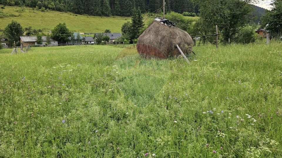 Casa 225 mp, teren intravilan 4822 mp C. Moldovenesc, Suceava