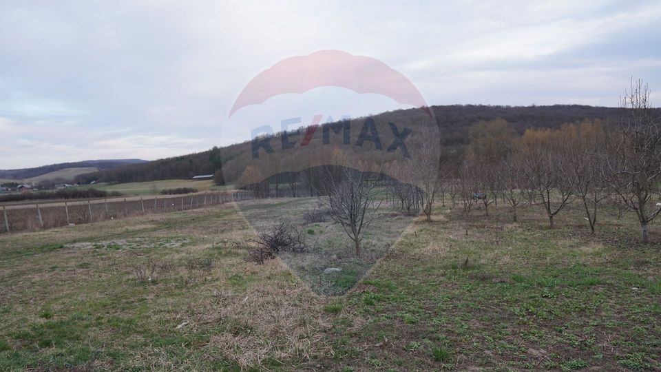 Teren de vanzare 517mp, sat Zapodia, com. Traian, jud Bacau