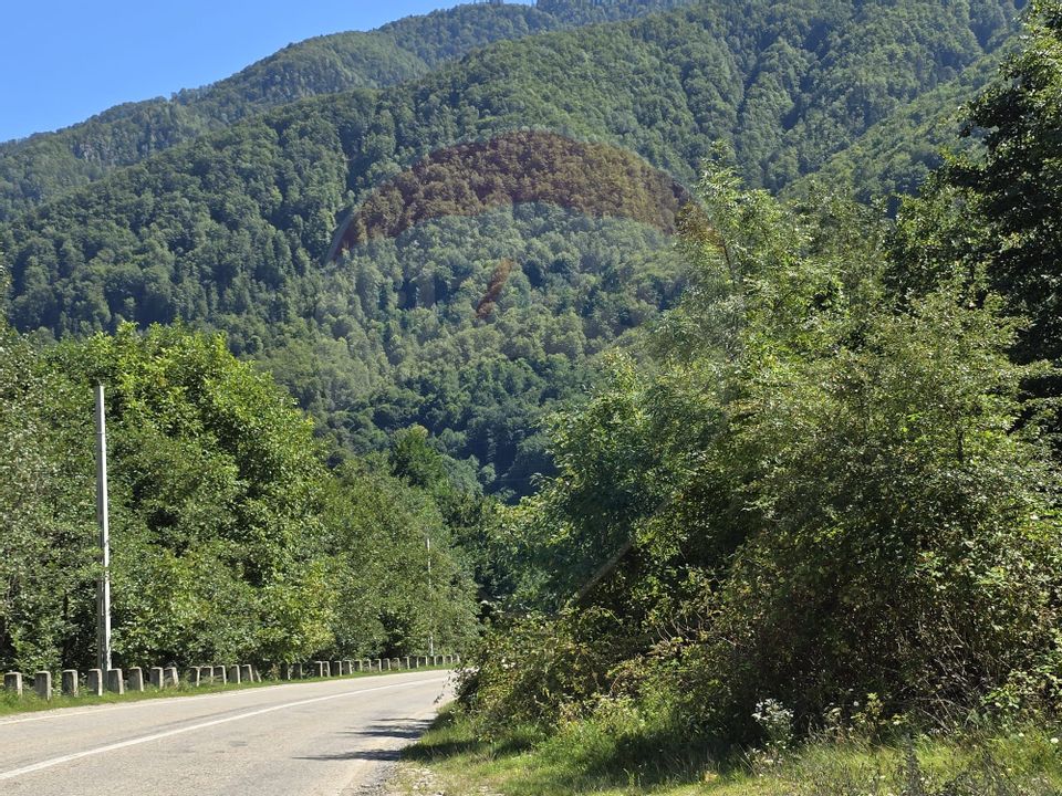 Teren 4,000mp Pascoaia / Soseaua Punctul Chiliilor