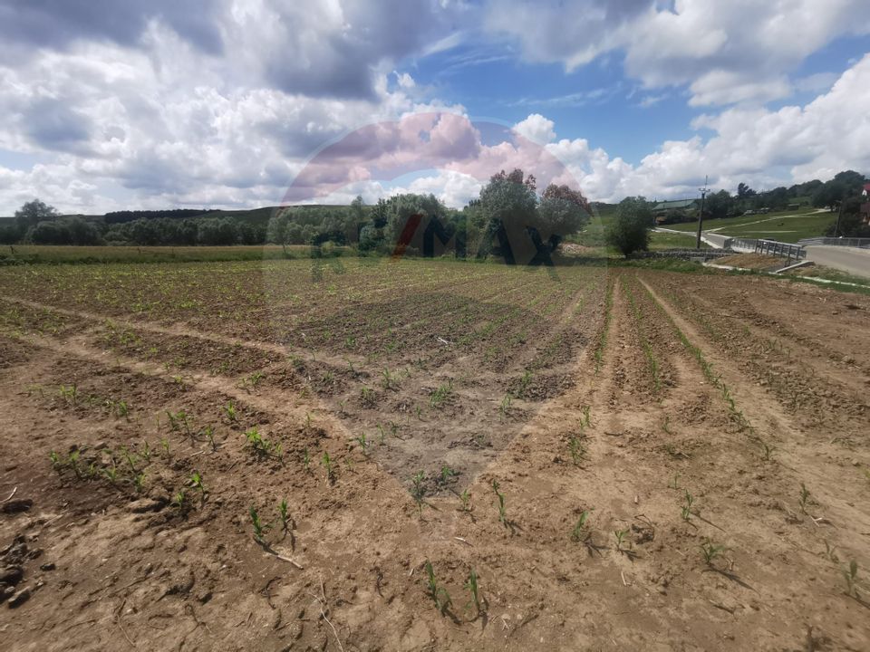 Teren 2,500mp Somcuta Mare / Strada Cornului