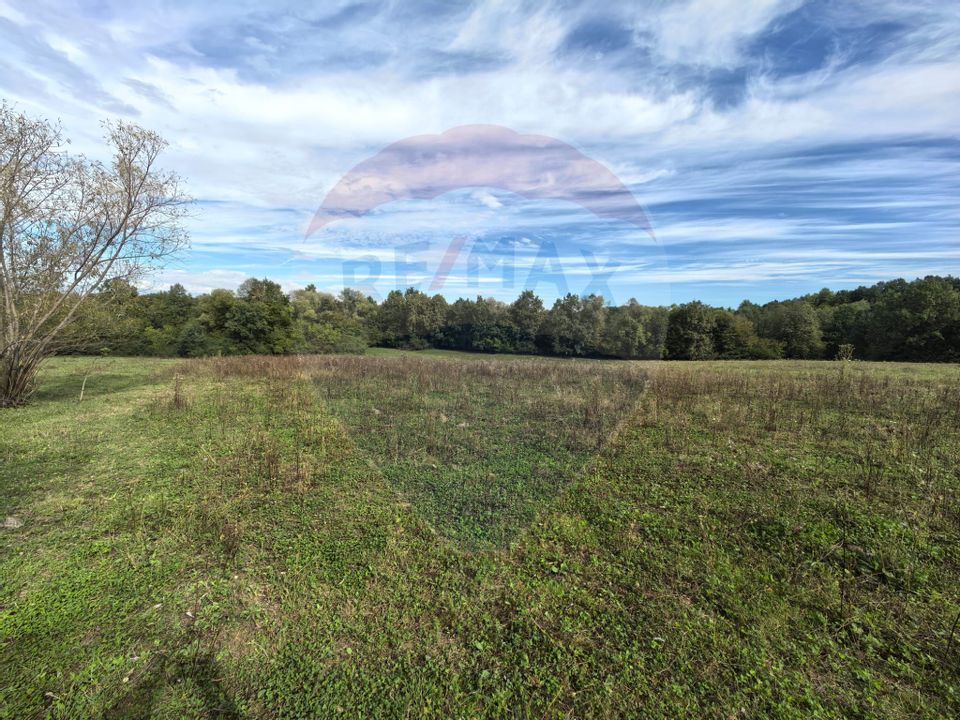 Teren 5,600mp Finteusu Mic / Strada Principala