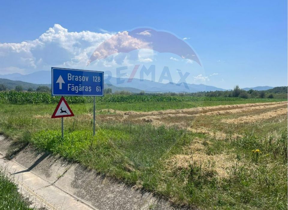 Oportunitate Unică de Investiție – 14.800 mp Teren Strategic în Vestem