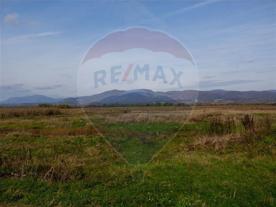 Domeniu Baronial de vanzare in localitatea CIL , Judet Arad