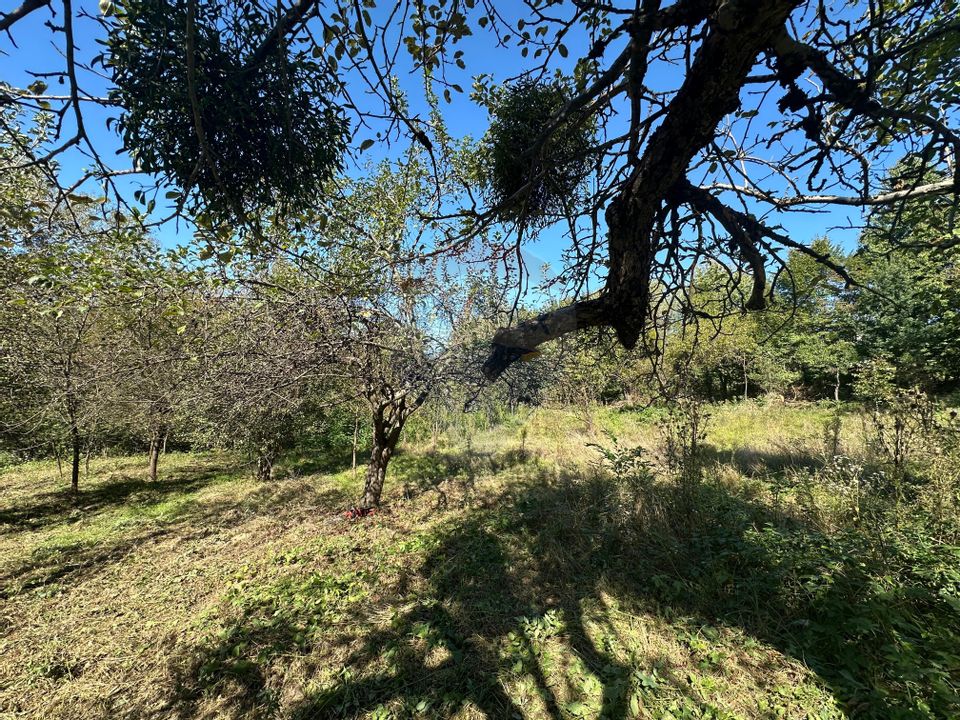 Land 4,101sqm Coruia / Strada Viilor