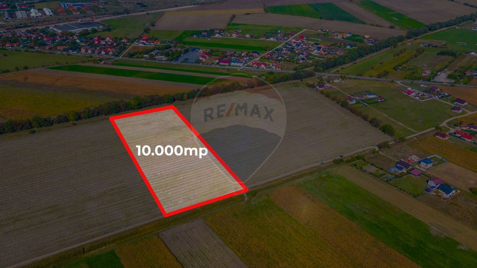 Teren 10,000mp Bod/Extravilan
