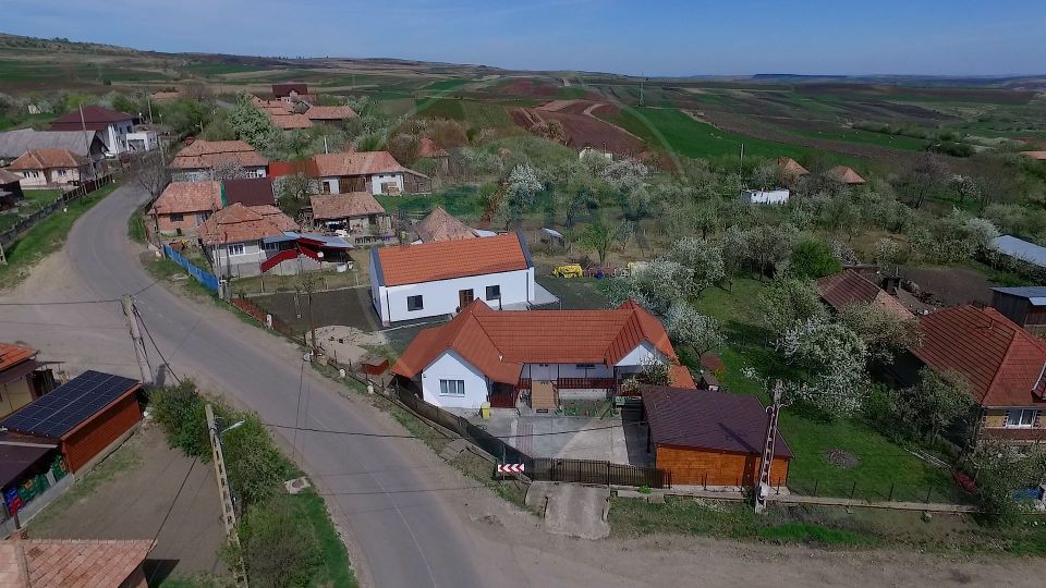 3 room House / Villa for sale