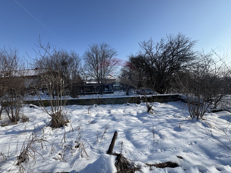 Land 4,870sqm Sintesti / Soseaua Principala