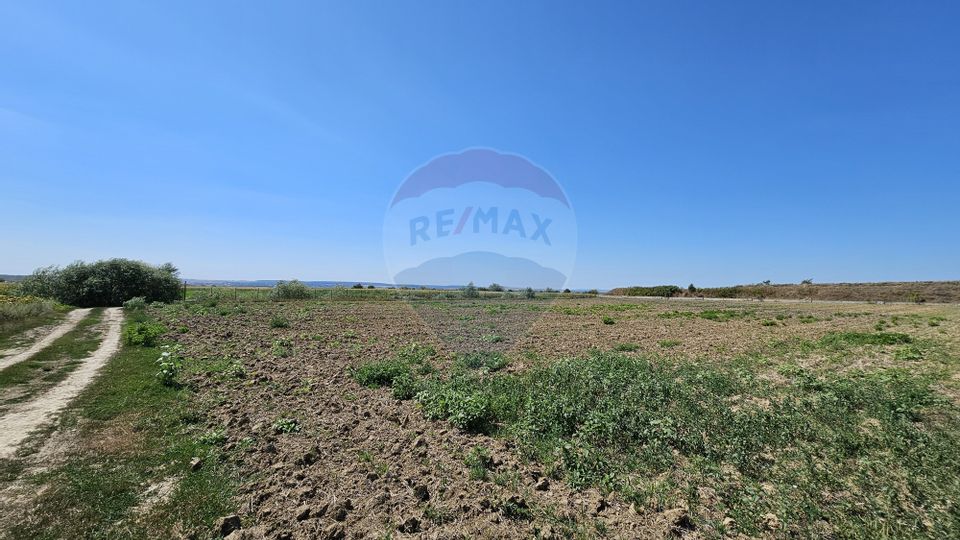 Land 52,115sqm Hutani / DJ DJ291