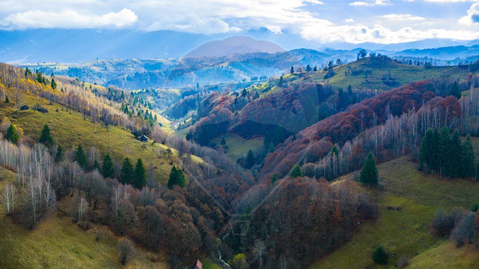 Land 8,013sqm Moieciu de Jos / Strada Valea Cu Calea