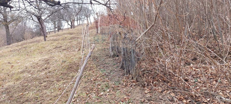 Teren de vânzare – Brașov, zona Dupa Iniste, 2710 mp