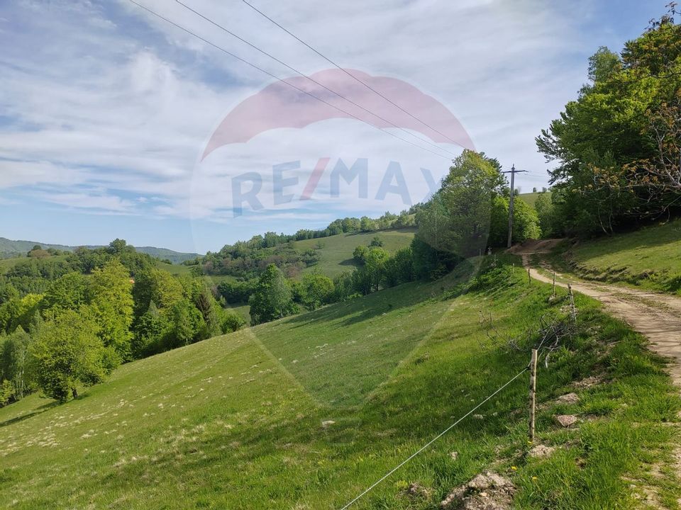 Land 20,131sqm Poiana Marului / Strada Fara nume