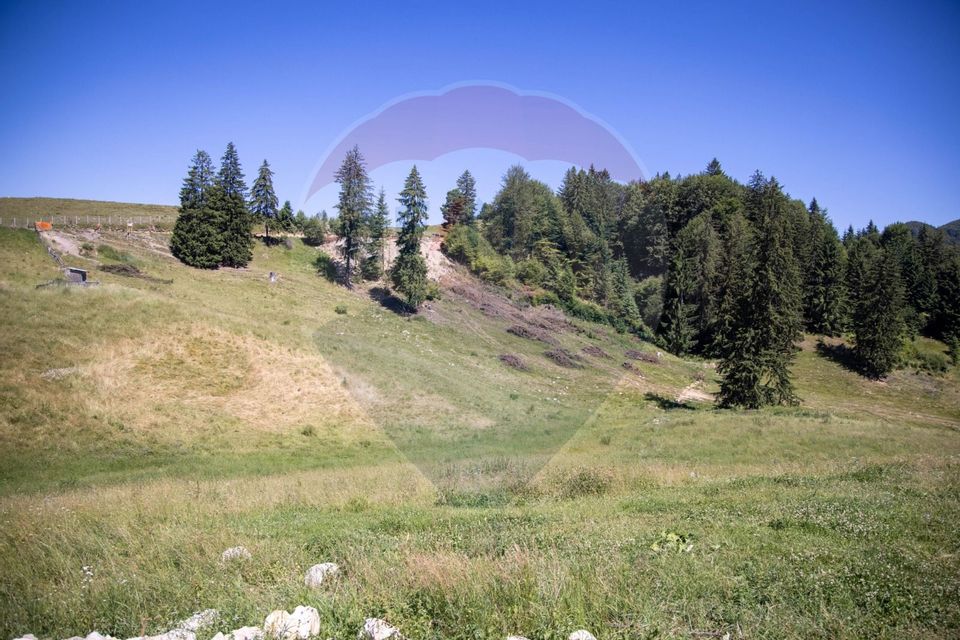 Teren intravilan, 6000mp Dambovicioara / DN 73- dealul sasului!