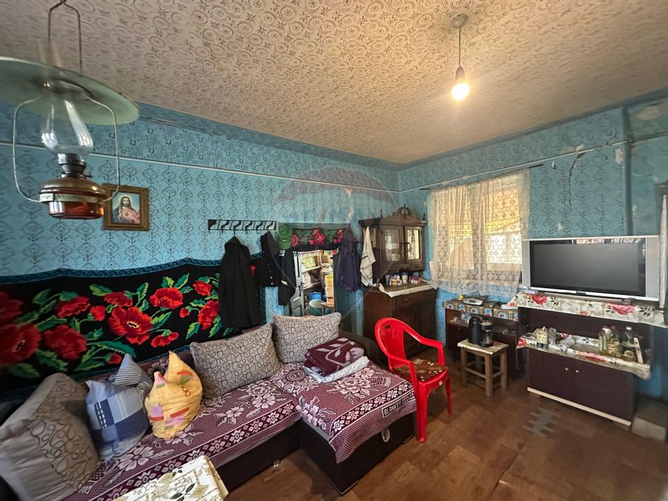 GOSPODARIE - liniste - natura - DE VANZARE