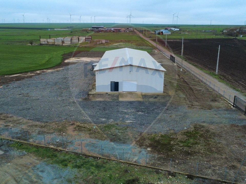 Hala frigorifica 500 mp de vânzare in Mihai Viteazu Constanta Tulcea