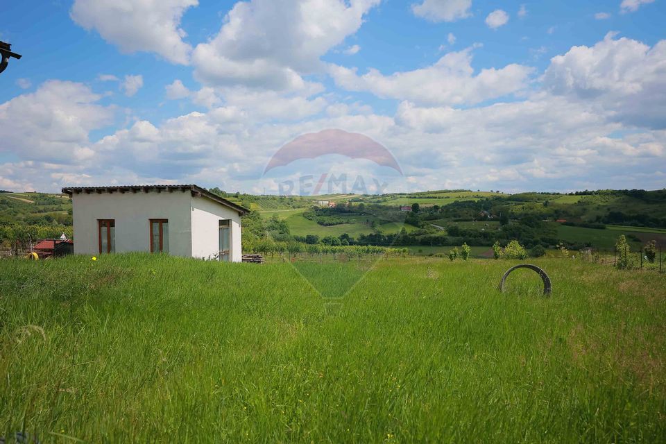 Casă cu 3 camere, anexă și 2042 mp teren de vânzare, în Calea Mare