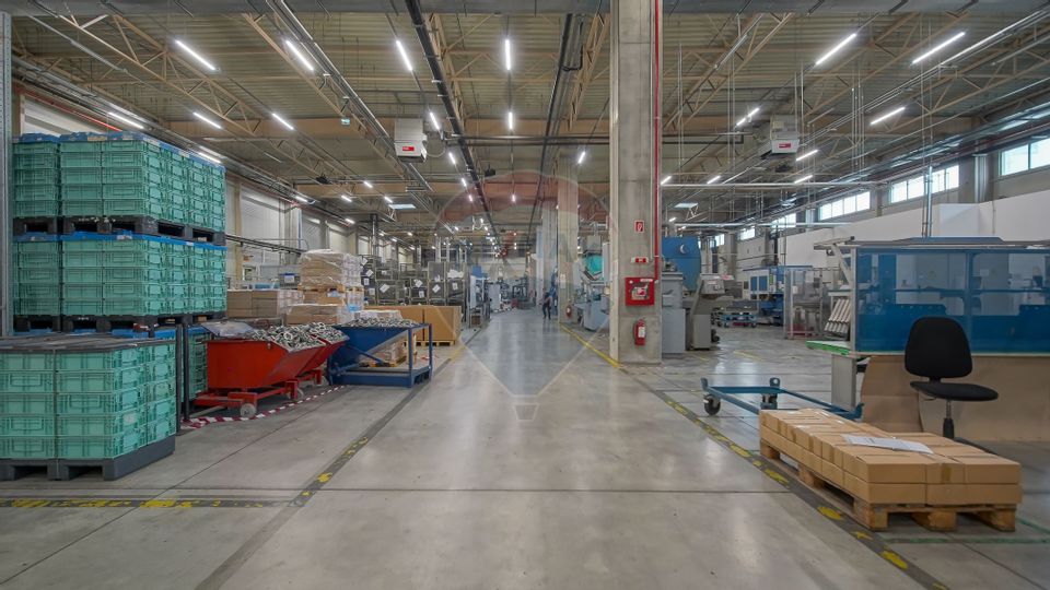 Hală industrială 5.000–12.000 mp de închiriat, Ghimbav
