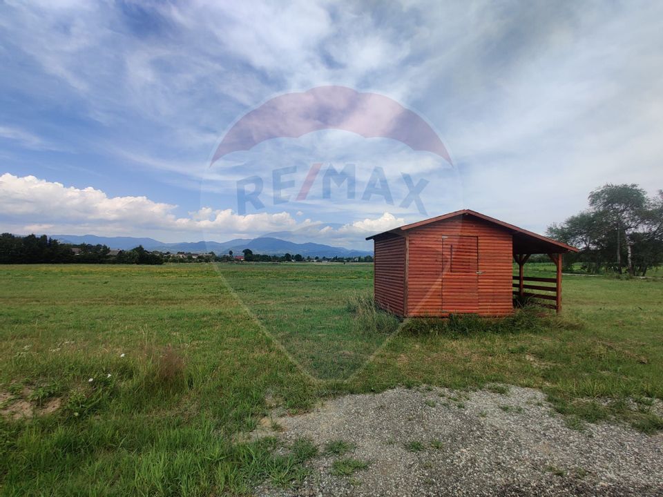 Land 1,419sqm Dumbravita / Strada dumbravita